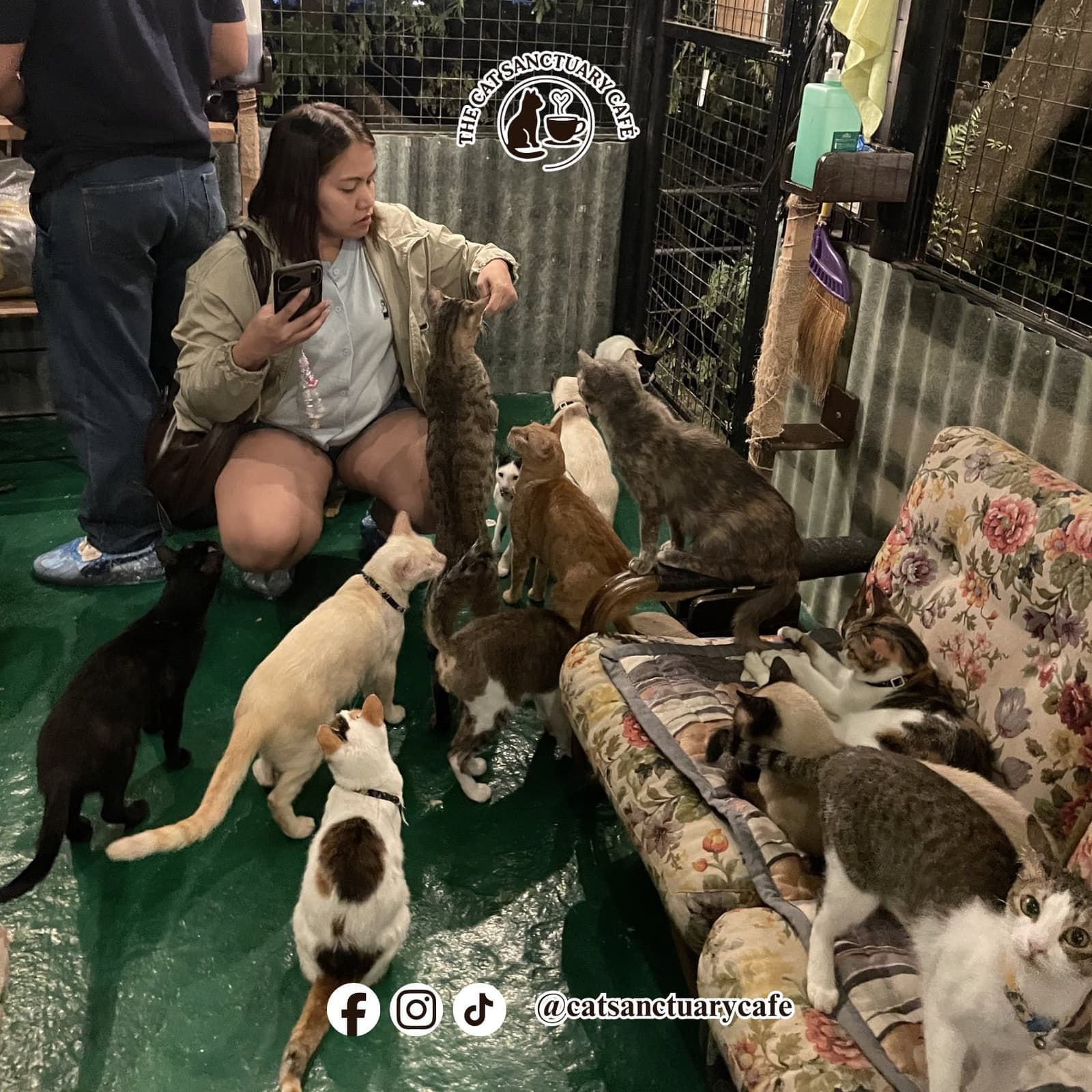 Cat interaction photo 4