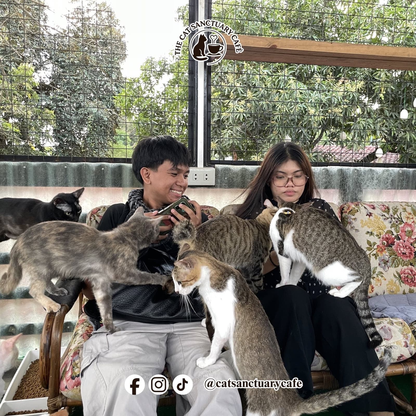 Cat interaction photo 1