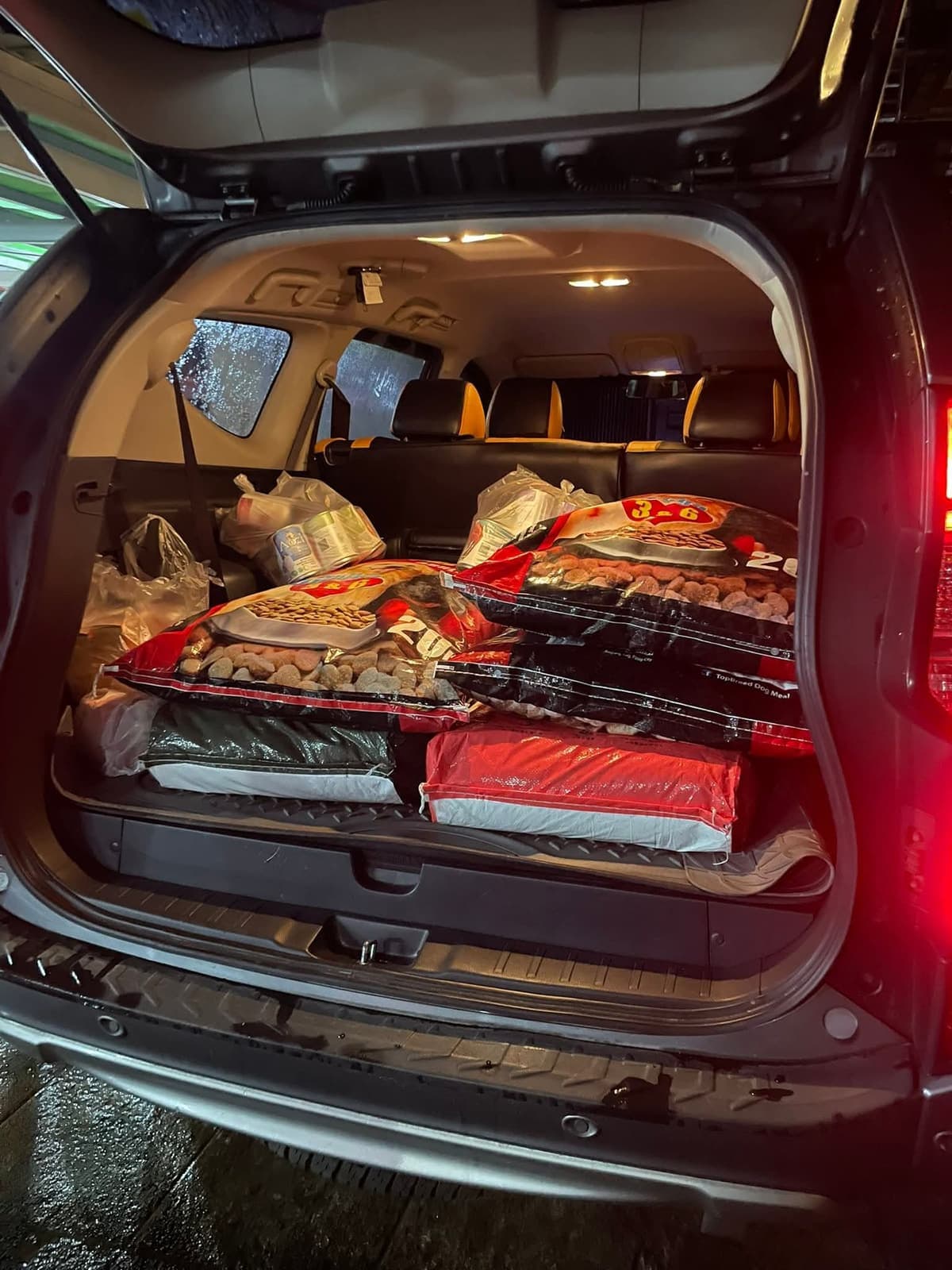 Cat food donation in transit