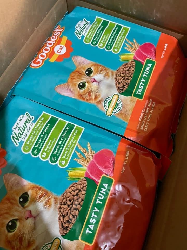 Cats enjoying fresh donated food