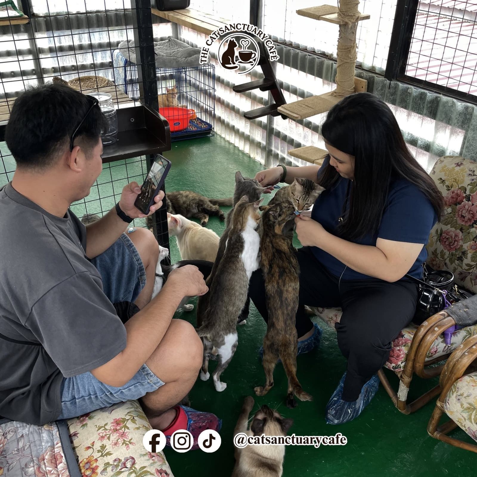 Calm lounge interactions inside the sanctuary cafe